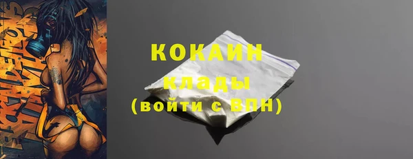 прущие грибы Вяземский