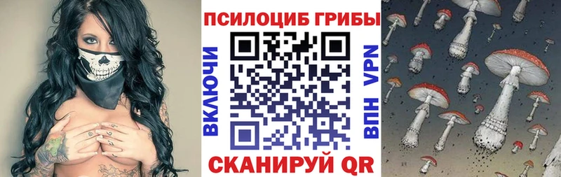Псилоцибиновые грибы Cubensis  Купить где  Новоржев 
